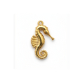 Charm Hippocampe