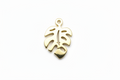 Charm Monstera