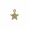 Charm Étoile Scintillante